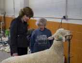 Senator Schwank participates in the 2012 Pennsylvania Farm Show.