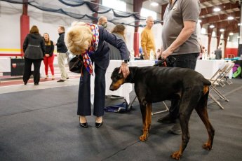 May 19, 2022: Senator Judy Schwank hosts a Veterans' Expo.  This event included information booths, free lunch, and a keynote address by Brigadier General Maureen Weigl, PA Deputy Adjutant General for Veterans Affairs.